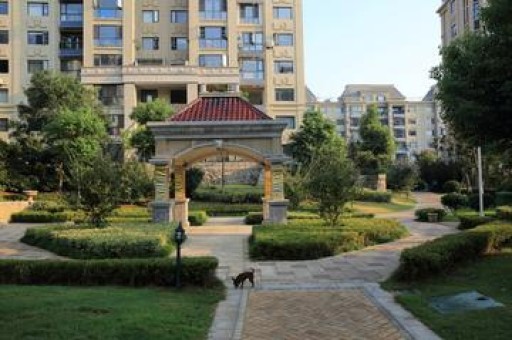 有安置房了还能在村里建房子吗